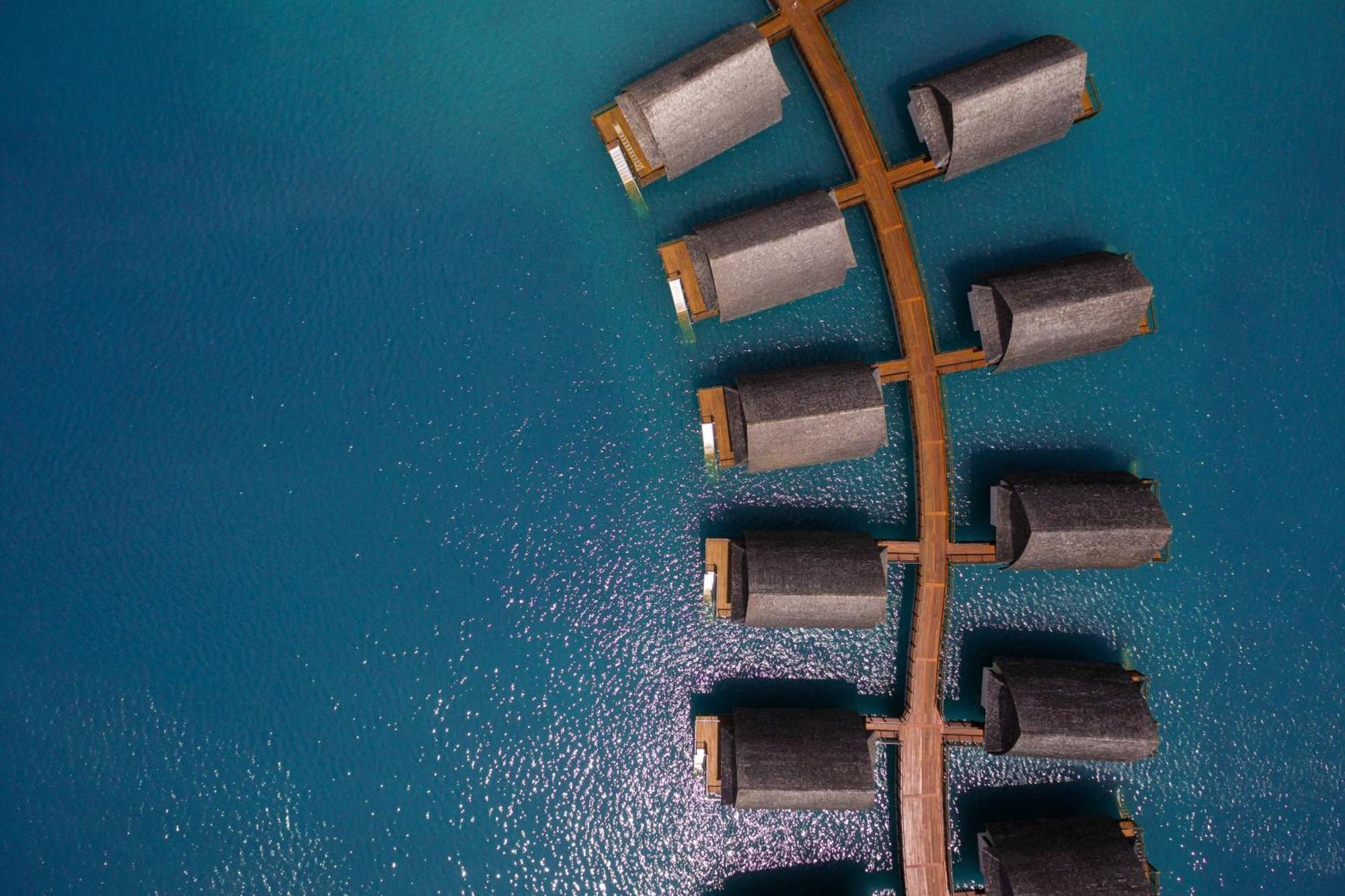 Fiji Marriott Resort Momi Bay Ngoại thất bức ảnh A tree of 1000000000000000000000000000000000000000000000000000000000000000000000000000000000000000000000000000000000000000000000000000000000000000000000000000000000000000000000000000000000000000000000000000